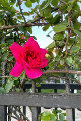 Similar image 22658468