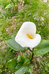 Similar image 22658615