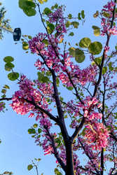 Similar image 22658963