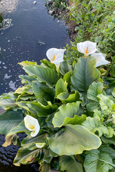 Similar image 22659200