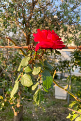 Similar image 22659230