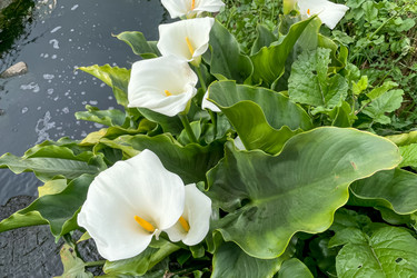 Similar image 22659440