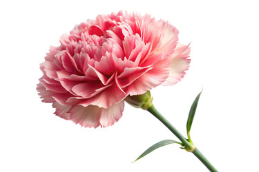 Similar image 22680577
