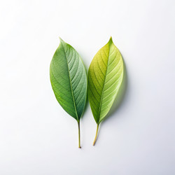 Similar image 22680606