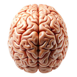 Similar image 22661228