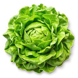 Similar image 22667000