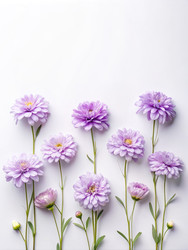 Similar image 22667044