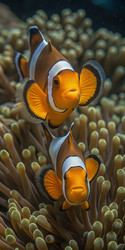 Similar image 22661649