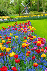 Similar image 22710203