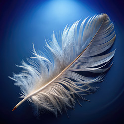Similar image 22665255