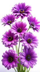Similar image 22667074