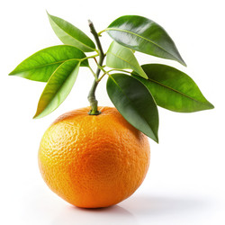 Similar image 22666805