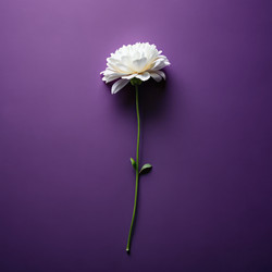 Similar image 22661584