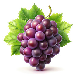 Similar image 22662183