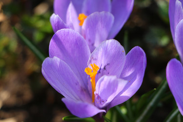 Similar image 22712431