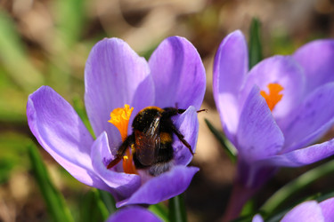 Similar image 22712434