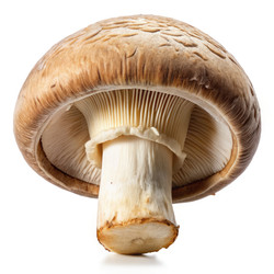Similar image 22647188