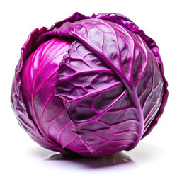 Similar image 22646905