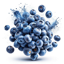 Similar image 22646999