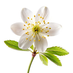 Similar image 22647014