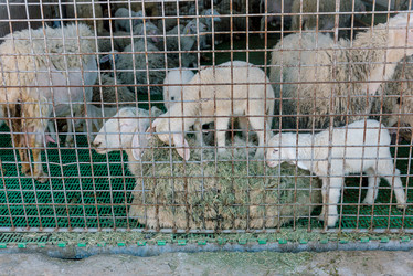 Similar image 22657474