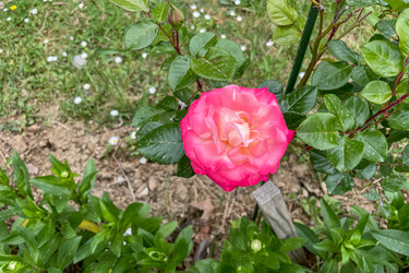 Similar image 22668163