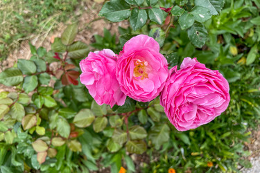 Similar image 22649311