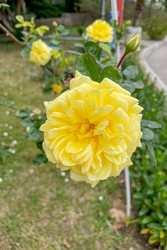 Similar image 22649450