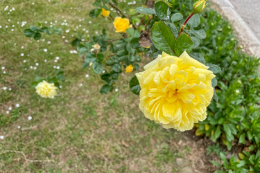 Similar image 22649494
