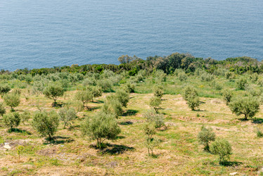 Similar image 22651603
