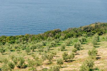 Similar image 22651635