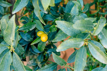 Similar image 22651818