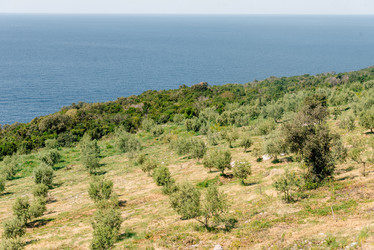 Similar image 22652673