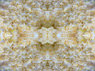 Similar image 22660031