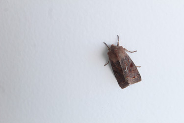 Similar image 22752437