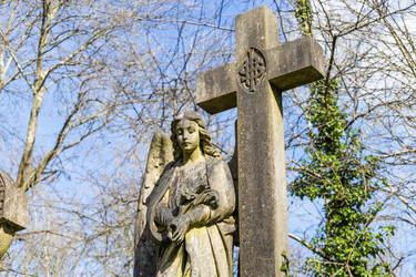 Similar image 22653909