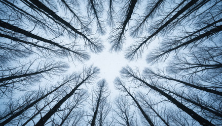 Similar image 22647334