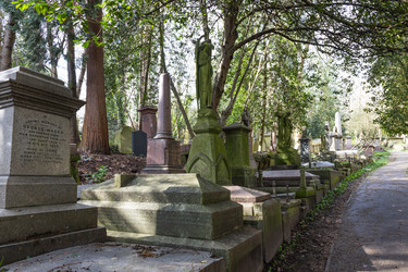 Similar image 22653911