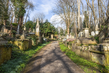 Similar image 22653912