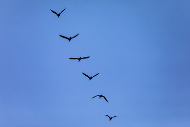 Similar image 22646112