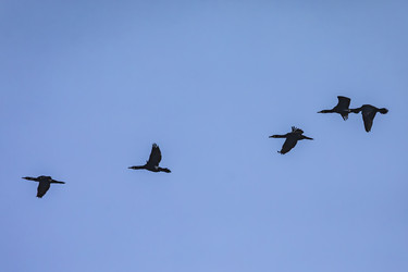 Similar image 22646123