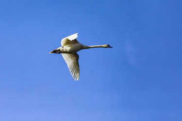 Similar image 22650301
