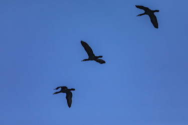 Similar image 22650311