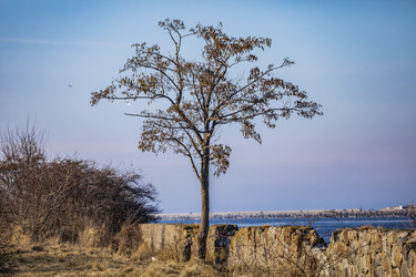 Similar image 22650312