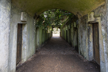 Similar image 22653897