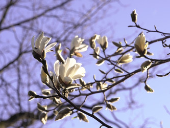 Similar image 22735353