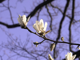 Similar image 22735354