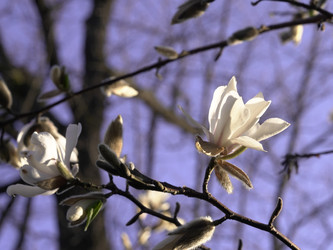 Similar image 22735355