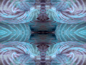 Similar image 22660021
