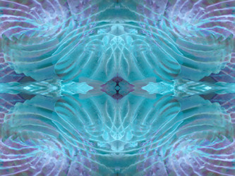 Similar image 22653404
